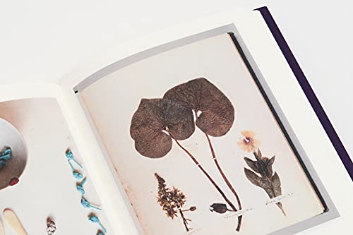 Nina Simone's Gum: A Memoir of Things Lost and Found