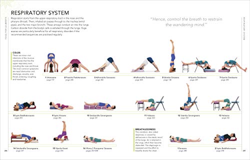 B.K.S. Iyengar Yoga The Path to Holistic Health: The Definitive Step-by-step Guide