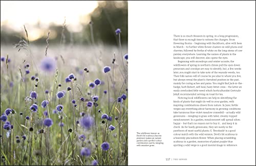 Garden for the Senses: How Your Garden Can Soothe Your Mind and Awaken Your Soul