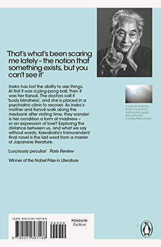 Dandelions - Retail Maharaj