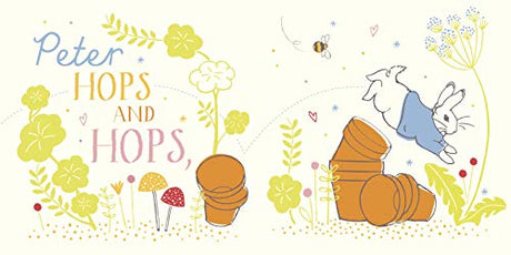 Peter Rabbit: Hello Peter! (Peter Rabbit Baby Books) - Retail Maharaj