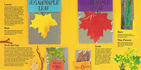 Red Leaf, Yellow Leaf - Retail Maharaj
