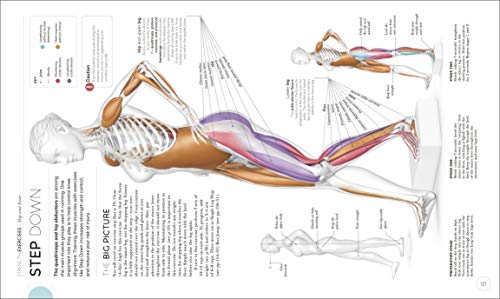 Science of Running: Analyse your Technique, Prevent Injury, Revolutionize your Training