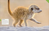 Born to be Wild: How Baby Animals Survive and Thrive