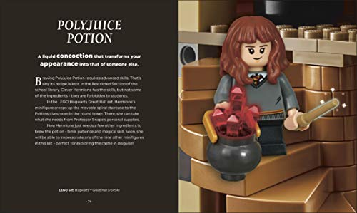 LEGO Harry Potter The Magical Guide to the Wizarding World (DK Bilingual Visual Dictionary)