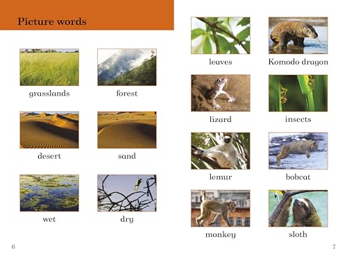 BBC Earth: Big and Small - Ladybird Readers Level 2