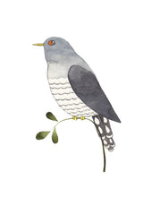 Our Garden Birds: a stunning illustrated guide to the birdlife of the British Isles - Retail Maharaj