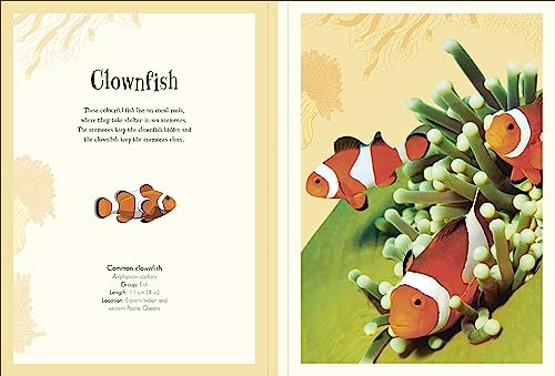An Anthology of Intriguing Animals Poster Book: With More Than 30 Reversible Tear-Out Posters