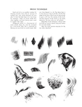 The Art of Animal Drawing: Construction, Action Analysis, Caricature