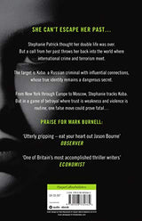 Chameleon: Book 2 (The Stephanie Fitzpatrick series)