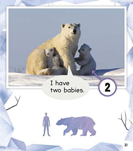 Read With Oxford: Non-Fiction: Stage 1: Animals And Us - Retail Maharaj