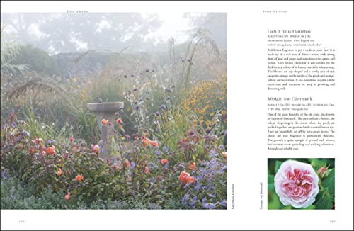 RHS Roses: An Inspirational Guide to Choosing and Growing the Best Roses