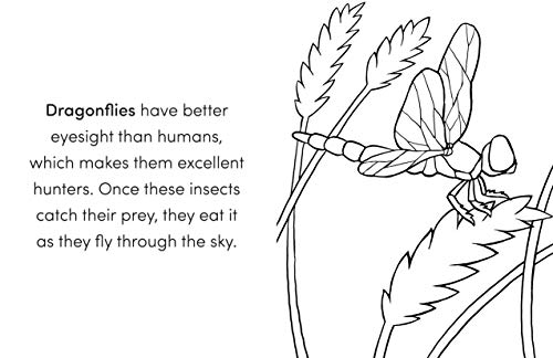 Bug Book for Kids: Coloring Fun and Awesome Facts