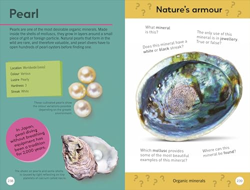 Quiz Yourself Clever! Rocks and Minerals (DK Quiz Yourself Clever)