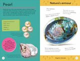 Quiz Yourself Clever! Rocks and Minerals (DK Quiz Yourself Clever)