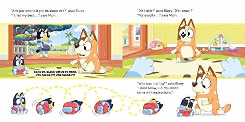Bluey: Baby Race