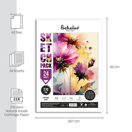 Scholar Heavyweight Sketch Pack Loose Drawing Paper Sheets 270 GSM - Retail Maharaj