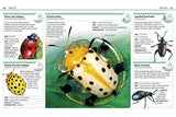 Pocket Eyewitness Insects - Retail Maharaj