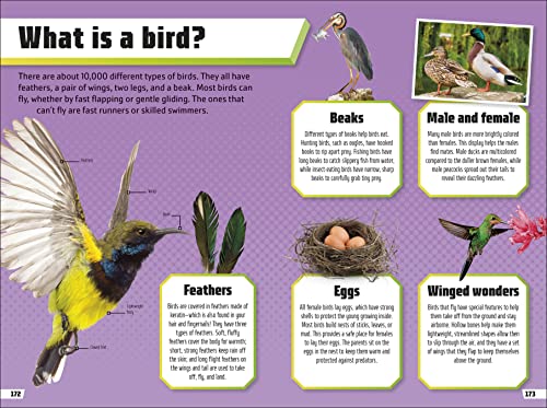 Animal Ultimate Handbook: The Need-to-Know Facts and Stats on More Than 200 Animals