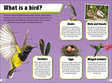 Animal Ultimate Handbook: The Need-to-Know Facts and Stats on More Than 200 Animals