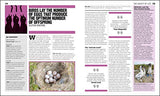 The Ecology Book ( Big Ideas)