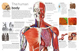 Human Body - Retail Maharaj