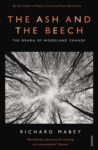 The Ash and The Beech: The Drama of Woodland Change - Retail Maharaj