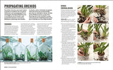 Grow Orchids: Essential Know-how and Expert Advice for Gardening Success