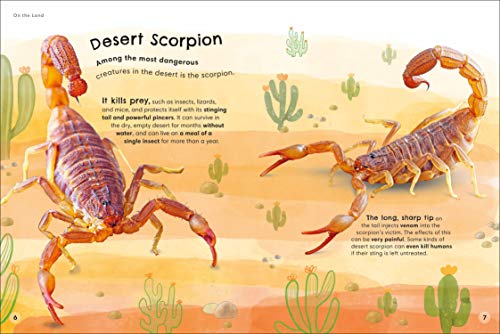 Animals Up Close: Animals as you've Never Seen them Before (DK Look Closer)
