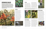 Grow Bulbs: Essential Know-how and Expert Advice for Gardening Success