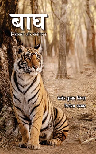 Bagh : Virasat Aur Sarokar - Retail Maharaj