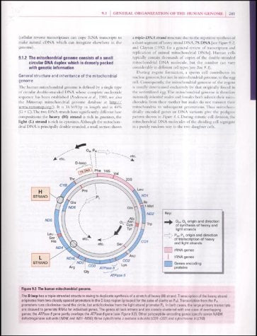 Human Molecular Genetics