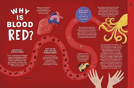 Can You Get Rainbows in Space?: A Colourful Compendium of Space and Science - Retail Maharaj