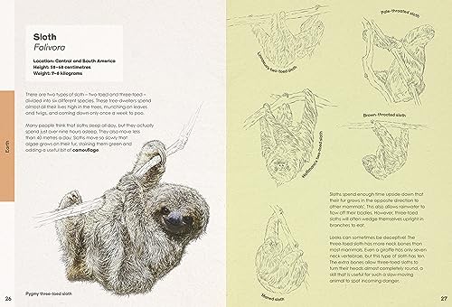 Ben Rothery's Weird and Wonderful Animals