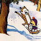 CALVIN & HOBBES: AUTHORITATIVE