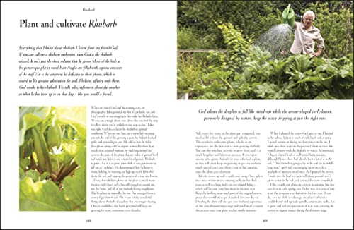 Grow, Cook, Dye, Wear: From Seed To Style The Sustainable Way
