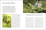 Grow, Cook, Dye, Wear: From Seed To Style The Sustainable Way