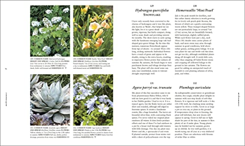 RHS A Plant for Every Day of the Year
