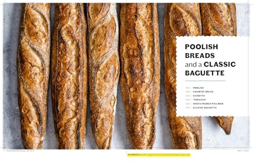The Pain d'Avignon Baking Book: A War, An Unlikely Bakery, and a Master Class in Bread