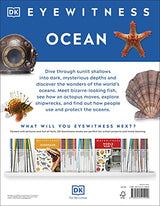 Ocean