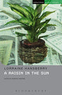 A RAISIN IN THE SUN - Retail Maharaj