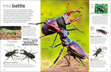 Insect - Retail Maharaj