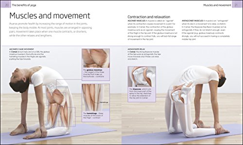 Yoga Your Home Practice Companion