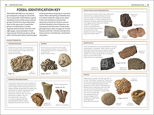 Fossils (DK Handbooks)