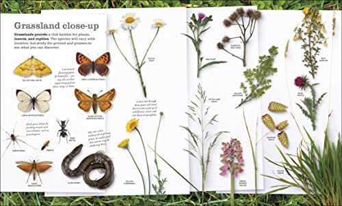 Chris Packham's Nature Handbook: Explore the Wonders of the Natural World