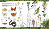Chris Packham's Nature Handbook: Explore the Wonders of the Natural World