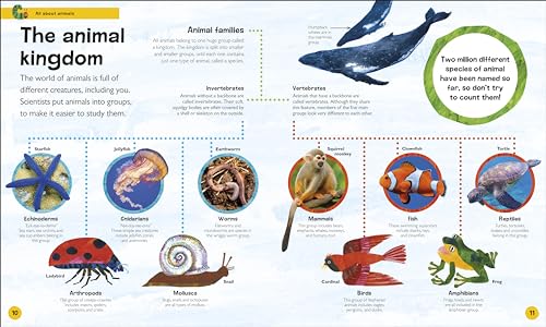 The Very Hungry Caterpillar's Very First Animal Encyclopedia: An Introduction to Animals, For VERY Hungry Young Minds