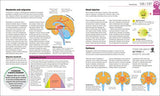How the Brain Works: The Facts Visually Explained (How Things Work)