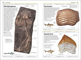 Fossils (DK Handbooks)