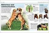 HORSES